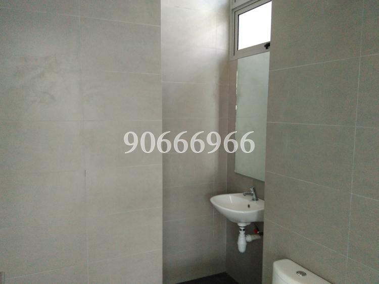 MAPEX (D20), Factory #126698382